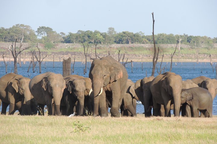 Kaudulla National Park